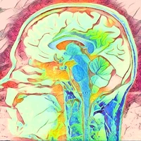 Alexander Christensen's profile picture