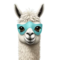 siqi zhu's profile picture