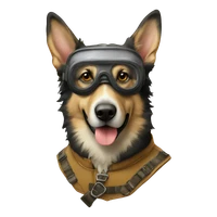 john donaghy's profile picture