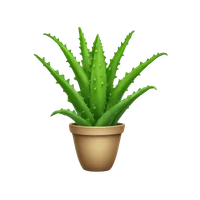 Shane Weinbrecht's profile picture