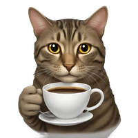 Han YANG's profile picture