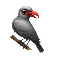 Havva Nur Özen's profile picture