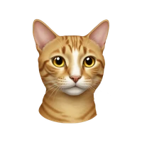 ariana robinson's profile picture