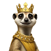 Ryan Sterzenbach's profile picture