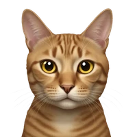 Arshika Lalan's profile picture