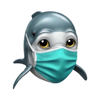 Liya's profile picture