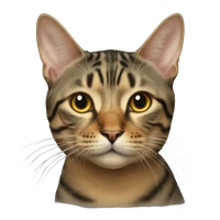 Lisa De Smedt's profile picture