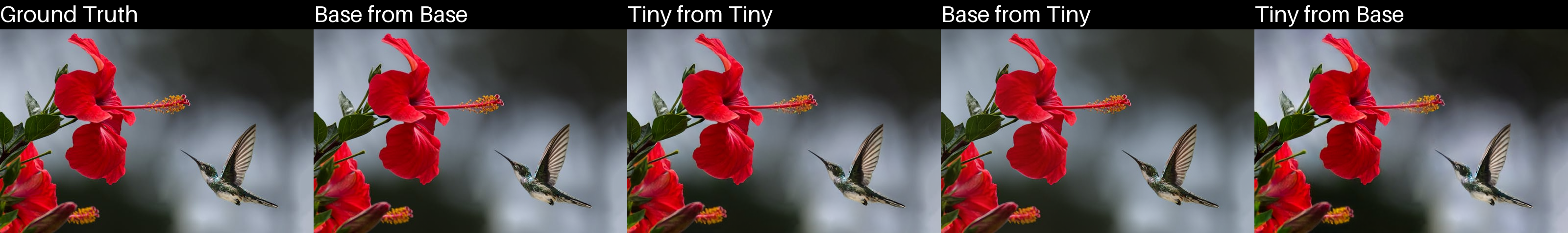 compare_autoencoders_2